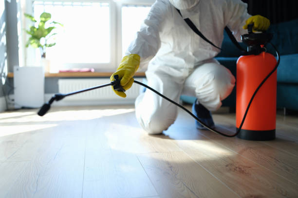 Reliable Sewage Cleanup contractor in Dania, FL by Trauma Clean Pros